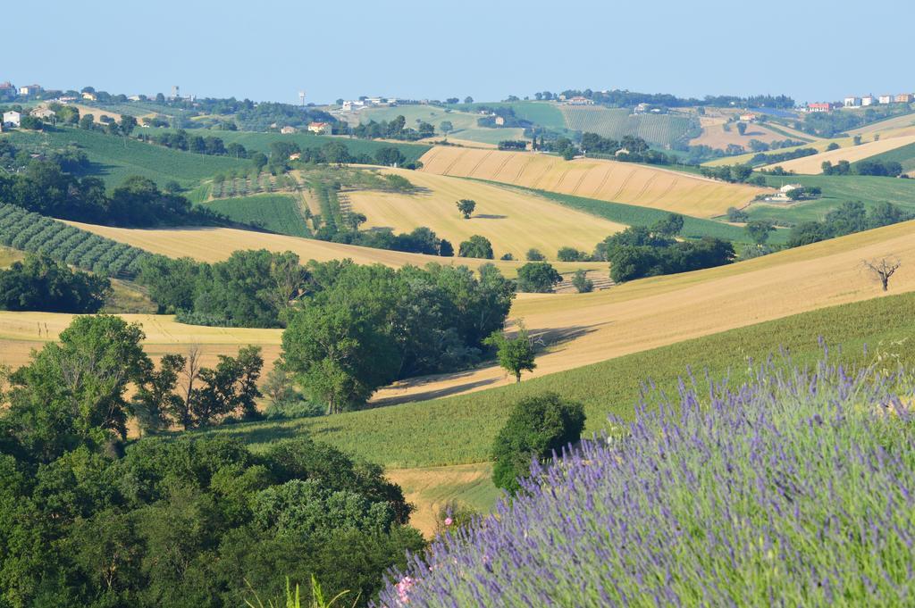 Agriturismo Tenuta Belvedere Villa Belvedere Ostrense ภายนอก รูปภาพ