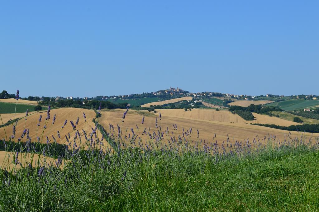 Agriturismo Tenuta Belvedere Villa Belvedere Ostrense ภายนอก รูปภาพ